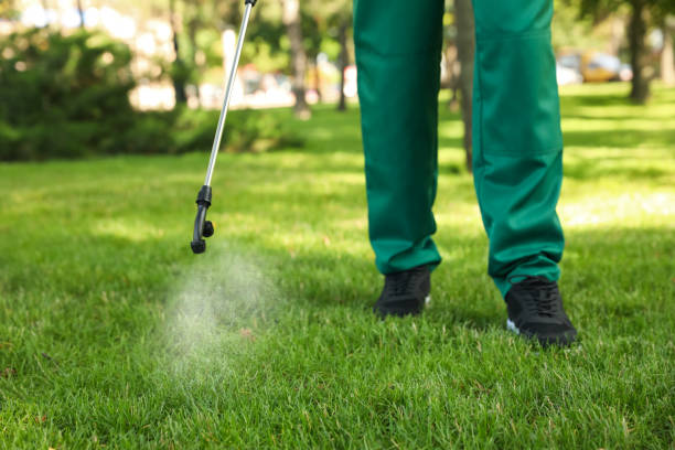 Best Pest Control Treatment  in Franklin Lakes, NJ