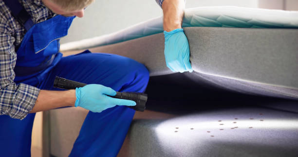 Best Pest Inspection Near Me  in Franklin Lakes, NJ