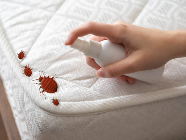 Pest Control Cost in Franklin Lakes, NJ