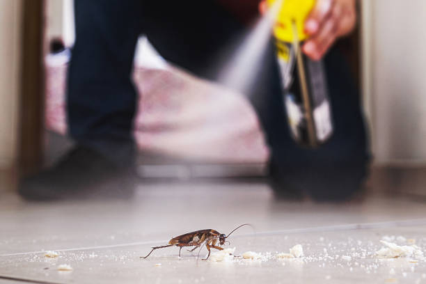 Best Commercial Pest Control Services  in Franklin Lakes, NJ