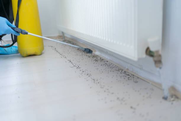 Professional Pest Control in Franklin Lakes, NJ