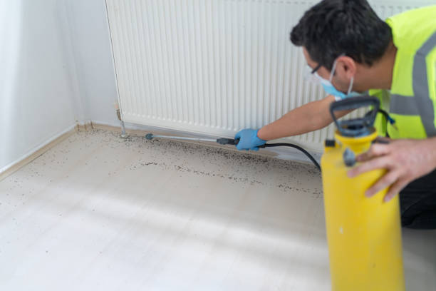Best Best Pest Control Companies  in Franklin Lakes, NJ