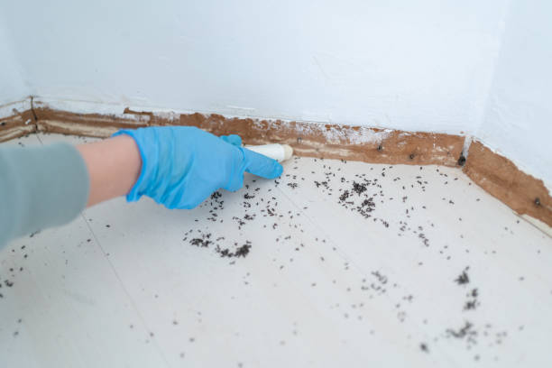 Best Residential Pest Control  in Franklin Lakes, NJ